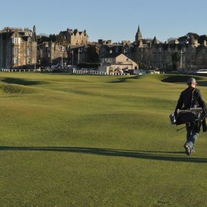 Meet your Posher, Roy